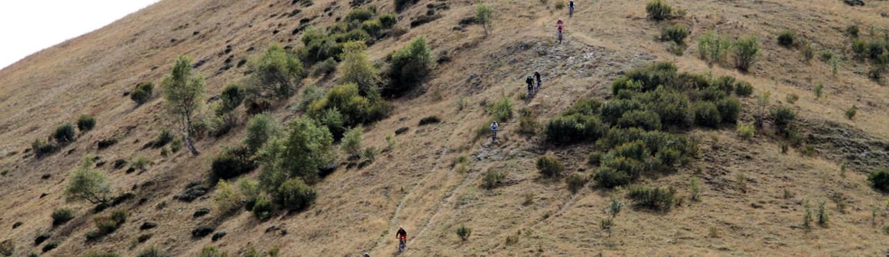 Uscita in E-Bike o Mountain Bike con guida